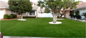 Synthetic Turf Cleaning and Maintenance Bonita, Best Artificial Lawn Maintenance Prices