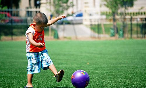 Top Rated Synthetic Turf Company Bonita, Artificial Lawn Play Area Company