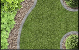 Common Mistakes While Designing Landscapes In Bonita
