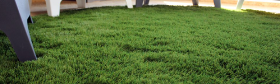 ▷6 Ways To Use Leftover Artificial Grass Bonita