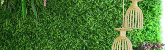 ▷7 Tips To Use Artificial Grass On Walls Bonita