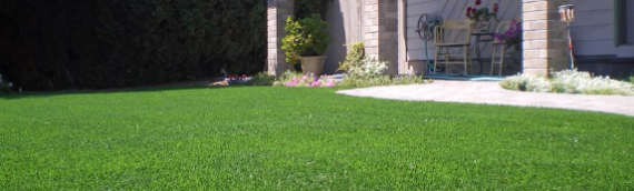 ▷5 Exclusive Benefits Of Artificial Grass For Your Backyard In Bonita