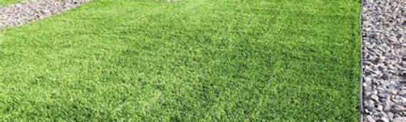 ▷How To Get Rid Of Weeds From Artificial Grass In Bonita?