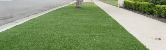 ▷5 Tips To Install Artificial Grass On Uneven Surface In Bonita