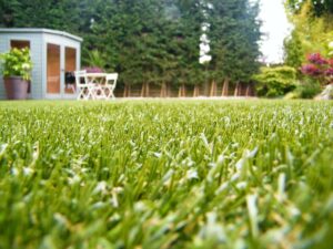 5 Reasons That Artificial Grass Is Durable And Low Maintenance In Bonita