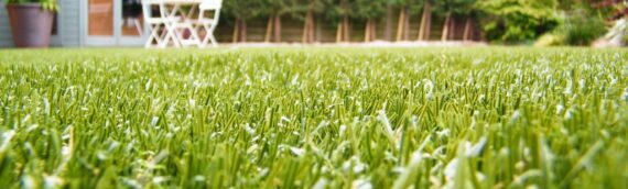 ▷5 Reasons That Artificial Grass Is Durable And Low Maintenance In Bonita