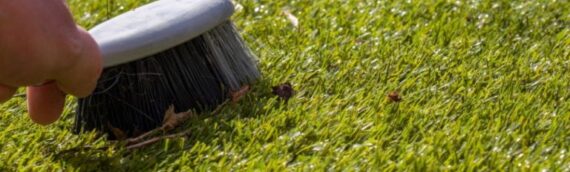 ▷5 Reasons To Regularly Maintain Your Artificial Grass In Bonita