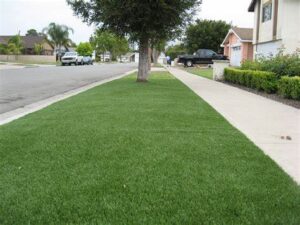 5 Tips To Ensure Proper Installation For Artificial Grass In Bonita